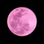 PinkMoon