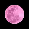 PinkMoon