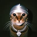 CASHCAT