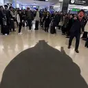 ARRIVED