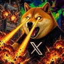 XDOGE
