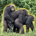 THREESOME