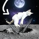 MOONCAT