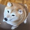 MANTIKO