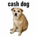 Cashdoge