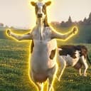 COW⁠