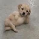 hey
