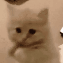 plscat