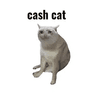 Cashcat
