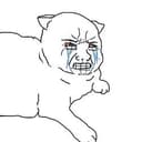Catjak