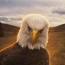 Eagle