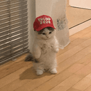 MichiTrump