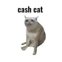 CASHCAT