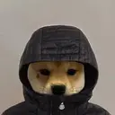 FIW