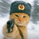 SOVCAT