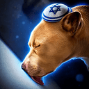 רונין
