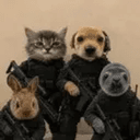 Taskforce