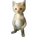 Miguel