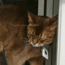 Schrödinger