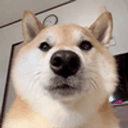 FUFU