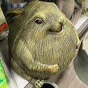 chungus