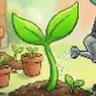 seedcoin
