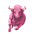 BULL