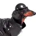 DIH