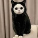 Mochi
