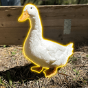 Donald D.