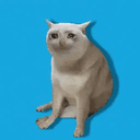 tgcat