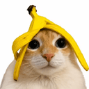 Bananacat