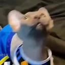 Beerus