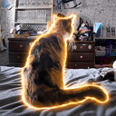 CATSENSE