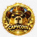 CPCOIN