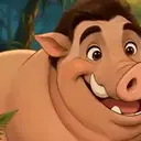 Boar