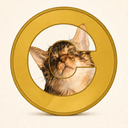 CATECOIN
