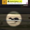 ZEDOG