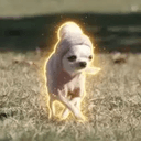Pur
