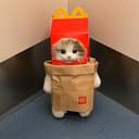 MCCAT