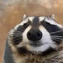 SADCOON