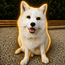 Koda
