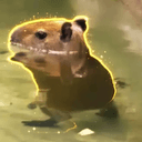 CAPY