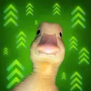 DIP