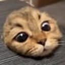 peep