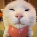 ACAT