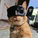 CATMAN