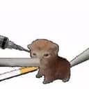 ChapoCat