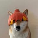 TRICK