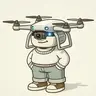 dronehouse